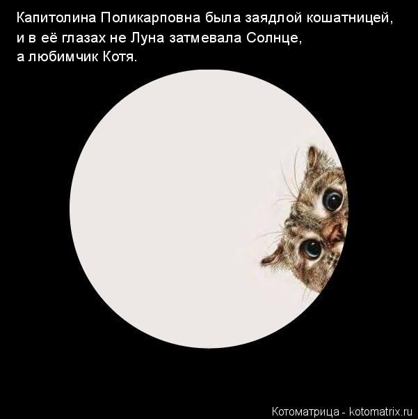 Котоматрица: Капитолина Поликарповна была заядлой кошатницей, а любимчик Котя. и в её глазах не Луна затмевала Солнце,