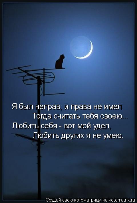 Я был неправ, и права не имел Тогда считать тебя своею... Любить себя - вот мой удел, Любить других я... Котоматрица: Я был неправ, и права не имел Тогда считать тебя своею... Любить себя - вот мой удел, Любить других я не умею.