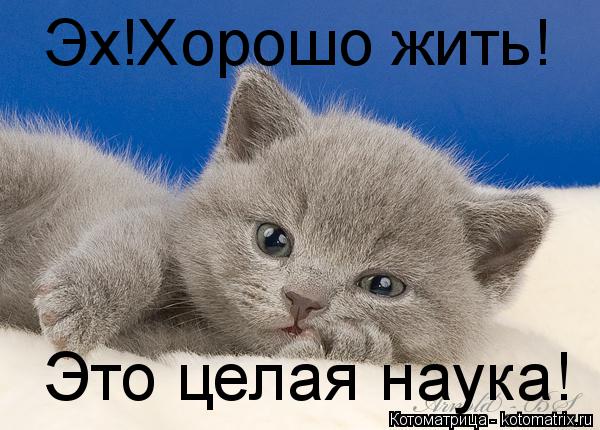 Котоматрица: Эх!Хорошо жить! Это целая наука!