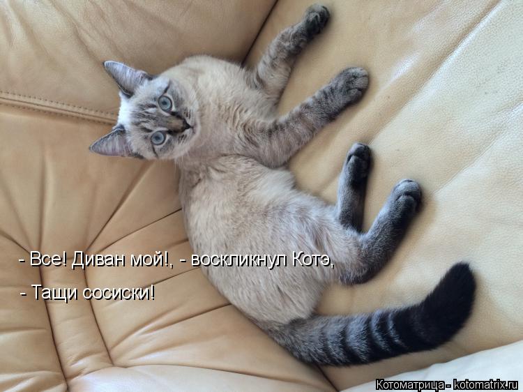 Котоматрица: - Все! Диван мой!, - воскликнул Котэ,  - Тащи сосиски!