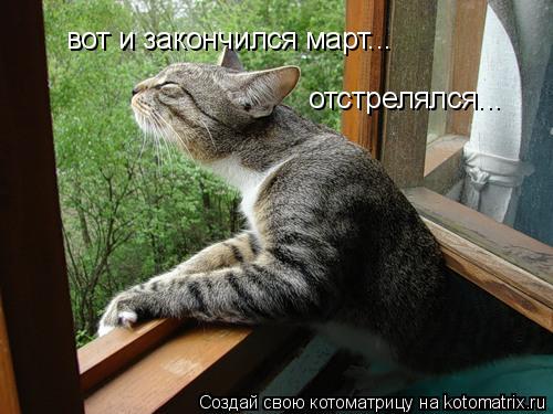 Котоматрица: вот и закончился март... отстрелялся...