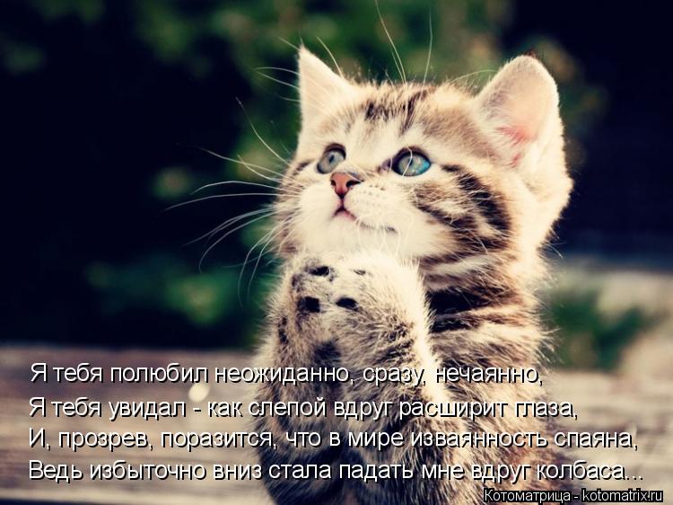 Котоматрица: Ведь избыточно вниз стала падать мне вдруг колбаса... И, прозрев, поразится, что в мире изваянность спаяна, Я тебя увидал - как слепой вдруг ра