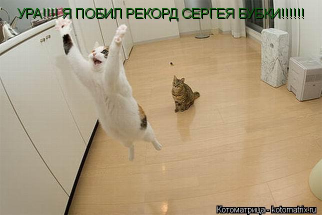 Котоматрица: УРА!!!! Я ПОБИЛ РЕКОРД СЕРГЕЯ БУБКИ!!!!!!