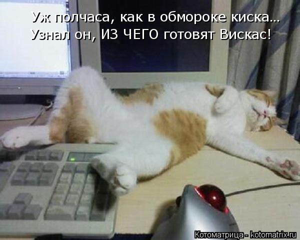 Котоматрица: Уж полчаса, как в обмороке киска… Узнал он, ИЗ ЧЕГО готовят Вискас!