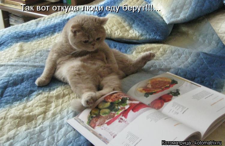 Котоматрица: Так вот откуда люди еду берут!!!...