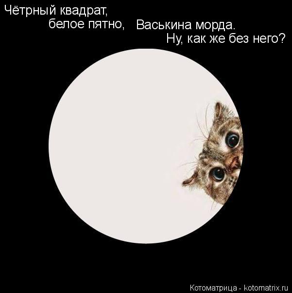Чётрный квадрат, белое пятно, Васькина морда. Ну, как же без него?... Котоматрица: Чётрный квадрат, белое пятно, Васькина морда. Ну, как же без него?