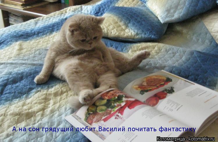 А на сон грядущий любит Василий почитать фантастику... Котоматрица: А на сон грядущий любит Василий почитать фантастику