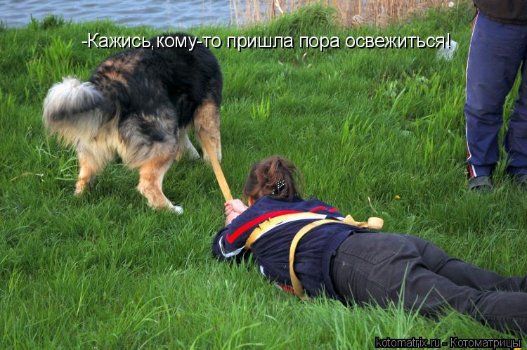 -Кажись,кому-то пришла пора освежиться!... Котоматрица: -Кажись,кому-то пришла пора освежиться!