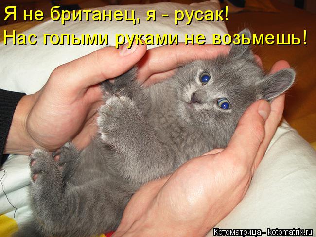 Я не британец, я - русак! Нас голыми руками не возьмешь!... Котоматрица: Я не британец, я - русак! Нас голыми руками не возьмешь!