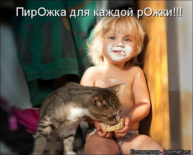ПирОжка для каждой рОжки!!!... Котоматрица: ПирОжка для каждой рОжки!!!