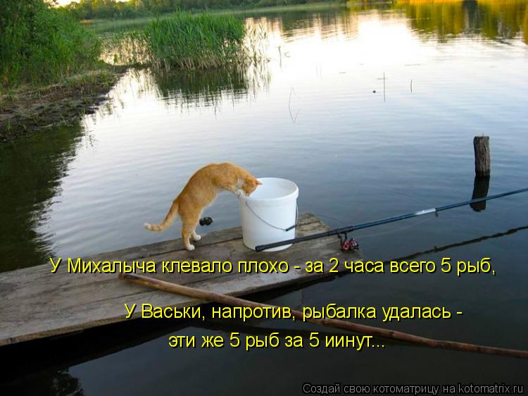 У Михалыча клевало плохо - за 2 часа всего 5 рыб, У Васьки, напротив, рыбалка удалась - эти же 5 рыб ... Котоматрица: У Михалыча клевало плохо - за 2 часа всего 5 рыб, У Васьки, напротив, рыбалка удалась - эти же 5 рыб за 5 иинут...