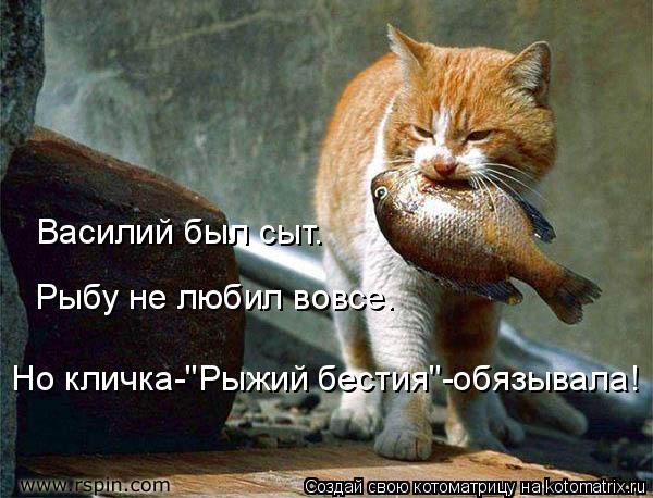 Котоматрица: Василий был сыт. Рыбу не любил вовсе. Но кличка-"Рыжий бестия"-обязывала!