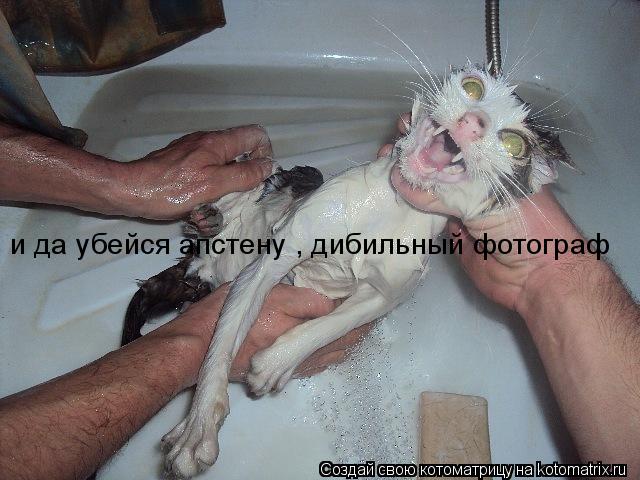 и да убейся апстену , дибильный фотограф... Котоматрица: и да убейся апстену , дибильный фотограф
