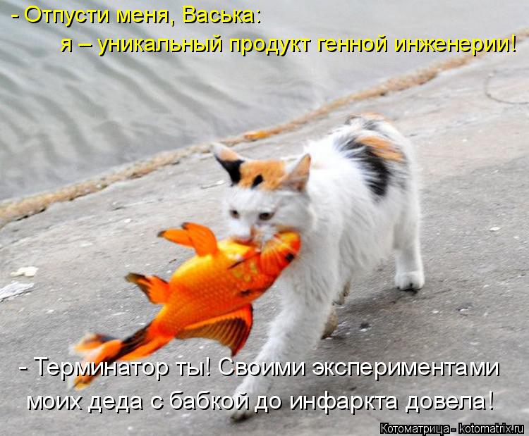 - Отпусти меня, Васька: я – уникальный продукт генной инженерии! - Терминатор ты! Своими эксперимента... Котоматрица: - Отпусти меня, Васька: я – уникальный продукт генной инженерии! - Терминатор ты! Своими экспериментами моих деда с бабкой до инфаркта довел