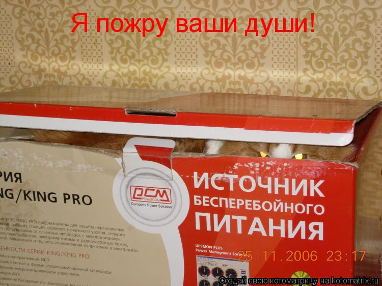 Я пожру ваши души!... Котоматрица: Я пожру ваши души!