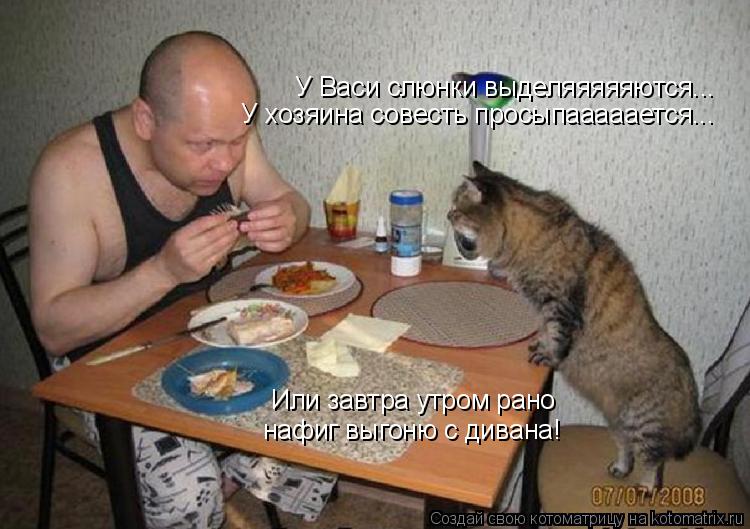 У Васи слюнки выделяяяяяются... У хозяина совесть просыпааааается... Или завтра утром рано нафиг выго... Котоматрица: У Васи слюнки выделяяяяяются... У хозяина совесть просыпааааается... Или завтра утром рано нафиг выгоню с дивана!