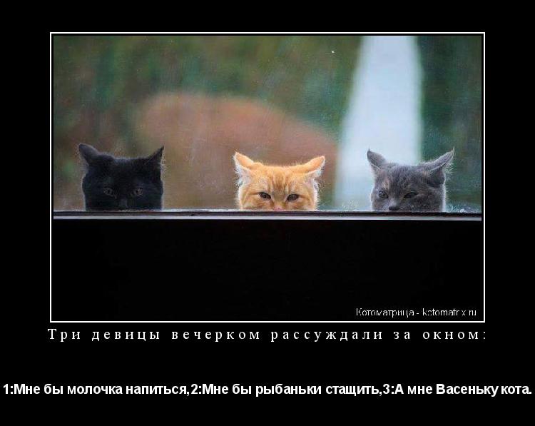 Три девицы вечерком рассуждали за окном: 1:Мне бы молочка напиться,2:Мне бы рыбаньки стащить,3:А мне... Котоматрица: Три девицы вечерком рассуждали за окном: 1:Мне бы молочка напиться,2:Мне бы рыбаньки стащить,3:А мне Васеньку кота.