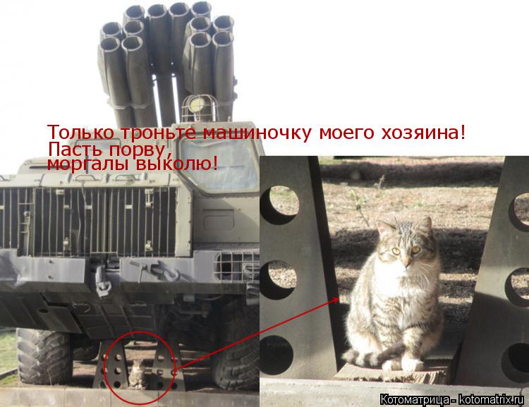 Только троньте машиночку моего хозяина! Пасть порву, моргалы выколю!... Котоматрица: Только троньте машиночку моего хозяина! Пасть порву, моргалы выколю!