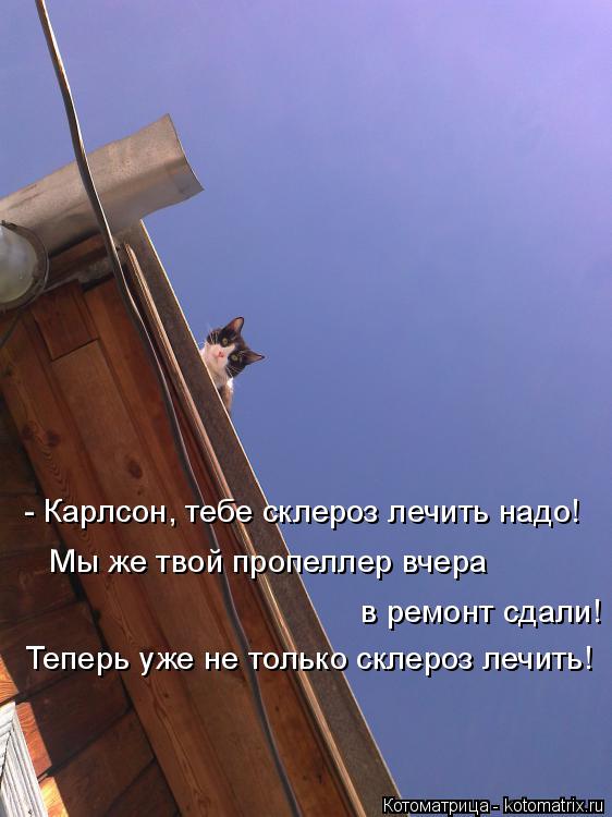 - Карлсон, тебе склероз лечить надо! Мы же твой пропеллер вчера в ремонт сдали! Теперь уже не только... Котоматрица: - Карлсон, тебе склероз лечить надо! Мы же твой пропеллер вчера в ремонт сдали! Теперь уже не только склероз лечить!