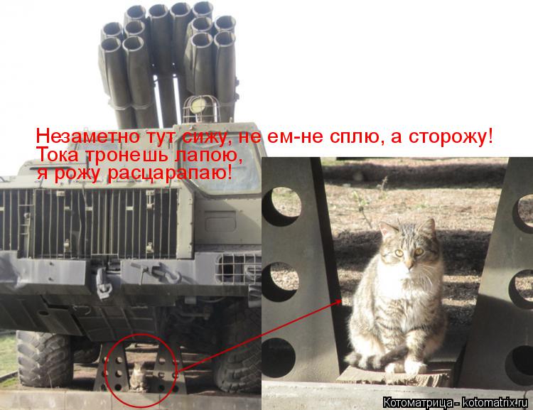 Незаметно тут сижу, не ем-не сплю, а сторожу! Тока тронешь лапою, я рожу расцарапаю!... Котоматрица: Незаметно тут сижу, не ем-не сплю, а сторожу! Тока тронешь лапою, я рожу расцарапаю!