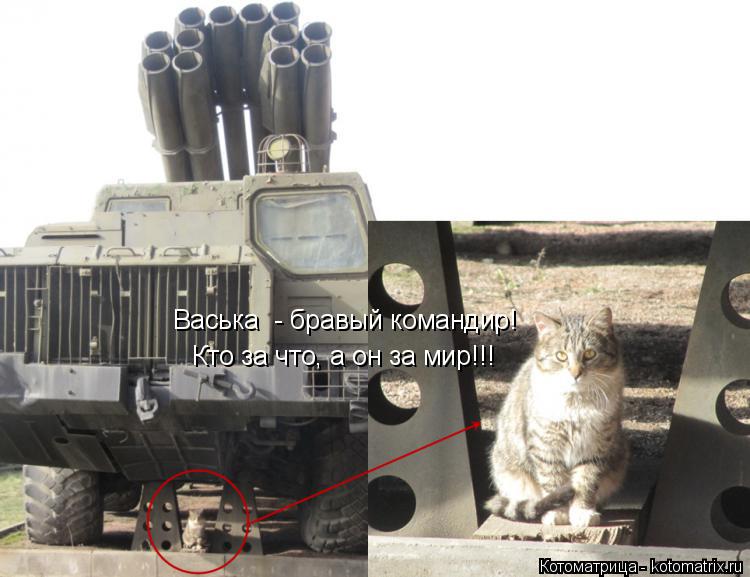 Васька - бравый командир! Кто за что, а он за мир!!!... Котоматрица: Васька - бравый командир! Кто за что, а он за мир!!!