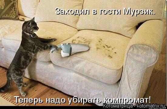 Теперь надо убирать компромат! Заходил в гости Мурзик.... Котоматрица: Теперь надо убирать компромат! Заходил в гости Мурзик.