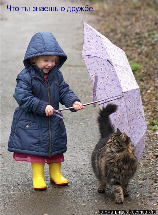 Котоматрица: Что ты знаешь о дружбе...