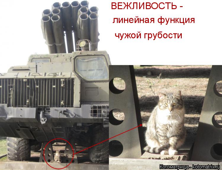 Котоматрица: ВЕЖЛИВОСТЬ -  линейная функция чужой грубости