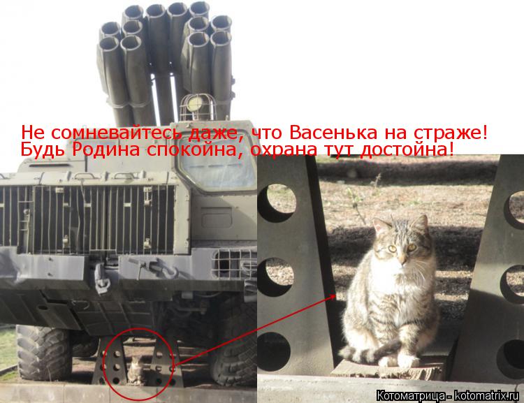 Не сомневайтесь даже, что Васенька на страже! Будь Родина спокойна, охрана тут достойна!... Котоматрица: Не сомневайтесь даже, что Васенька на страже! Будь Родина спокойна, охрана тут достойна!