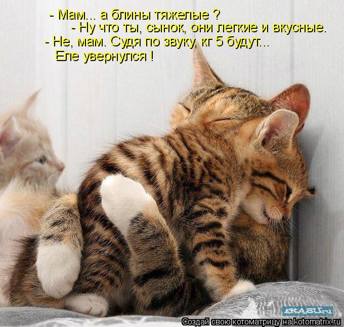 - Мам... а блины тяжелые ? - Ну что ты, сынок, они легкие и вкусные. - Не, мам. Судя по звуку, кг 5 б... Котоматрица: - Мам... а блины тяжелые ? - Ну что ты, сынок, они легкие и вкусные. - Не, мам. Судя по звуку, кг 5 будут... Еле увернулся !