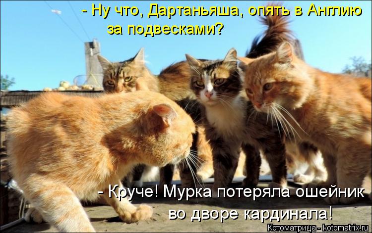 - Ну что, Дартаньяша, опять в Англию за подвесками? - Круче! Мурка потеряла ошейник во дворе кардинал... Котоматрица: - Ну что, Дартаньяша, опять в Англию за подвесками? - Круче! Мурка потеряла ошейник во дворе кардинала!