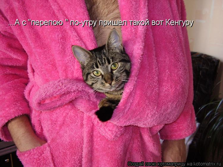 ...А с "перепою " по-утру пришел такой вот Кенгуру... Котоматрица: ...А с "перепою " по-утру пришел такой вот Кенгуру