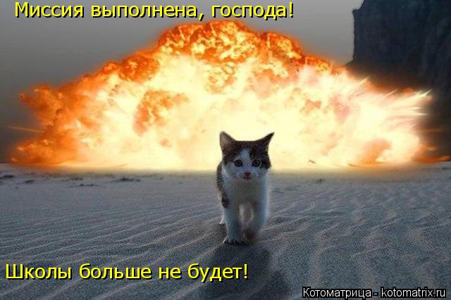 Миссия выполнена, господа! Школы больше не будет!... Котоматрица: Миссия выполнена, господа! Школы больше не будет!