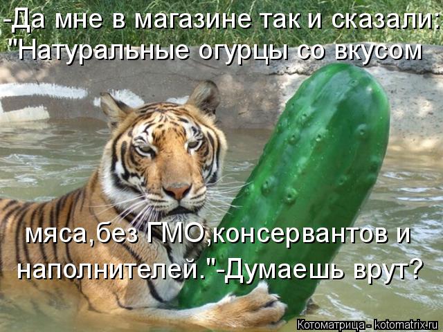-Да мне в магазине так и сказали: "Натуральные огурцы со вкусом мяса,без ГМО,консервантов и наполнит... Котоматрица: -Да мне в магазине так и сказали: "Натуральные огурцы со вкусом мяса,без ГМО,консервантов и наполнителей."-Думаешь врут?
