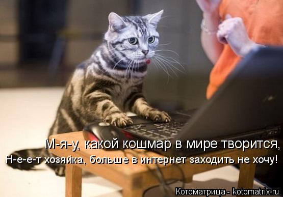 М-я-у, какой кошмар в мире творится, Н-е-е-т хозяйка, больше в интернет заходить не хочу!... Котоматрица: М-я-у, какой кошмар в мире творится, Н-е-е-т хозяйка, больше в интернет заходить не хочу!