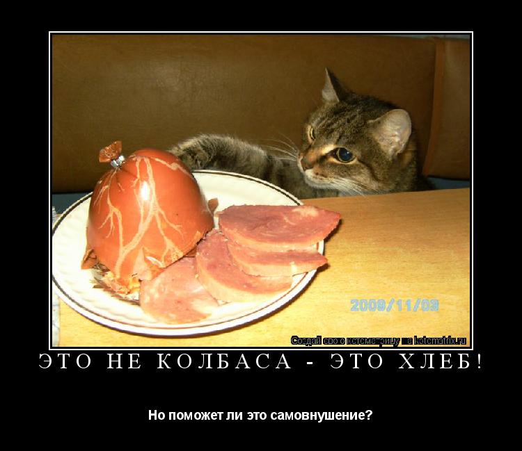 ЭТО НЕ КОЛБАСА - ЭТО ХЛЕБ! Но поможет ли это самовнушение?... Котоматрица: ЭТО НЕ КОЛБАСА - ЭТО ХЛЕБ! Но поможет ли это самовнушение?