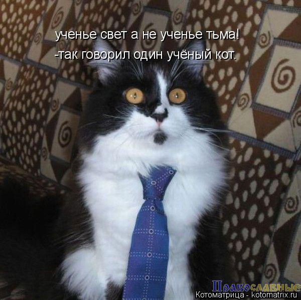 Котоматрица: ученье свет а не ученье тьма! -так говорил один учёный кот.