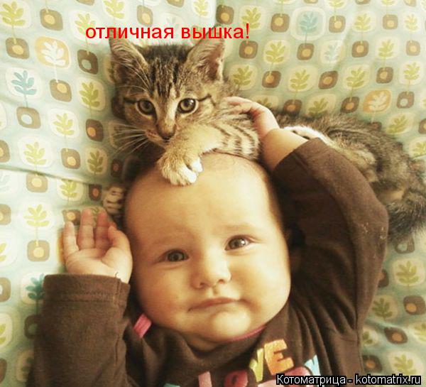 отличная вышка!... Котоматрица: отличная вышка!