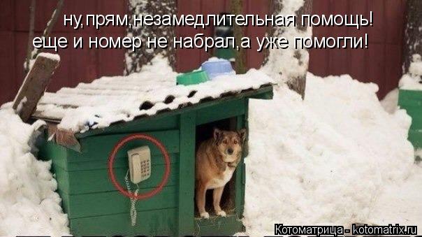 Котоматрица: ну,прям,незамедлительная помощь! еще и номер не набрал,а уже помогли!