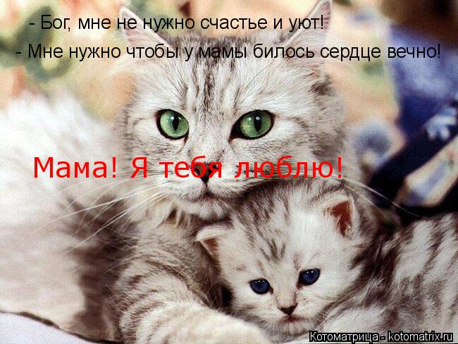 - Бог, мне не нужно счастье и уют! - Мне нужно чтобы у мамы билось сердце вечно! Мама! Я тебя люблю!... Котоматрица: - Бог, мне не нужно счастье и уют! - Мне нужно чтобы у мамы билось сердце вечно! Мама! Я тебя люблю!