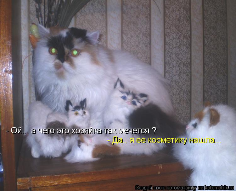 Котоматрица: - Ой... а чего это хозяйка так мечется ? - Да.. я ее косметику нашла...