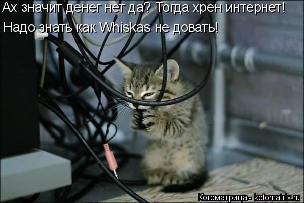 Ах значит денег нет да? Тогда хрен интернет! Надо знать как Whiskas не довать!... Котоматрица: Ах значит денег нет да? Тогда хрен интернет! Надо знать как Whiskas не довать!