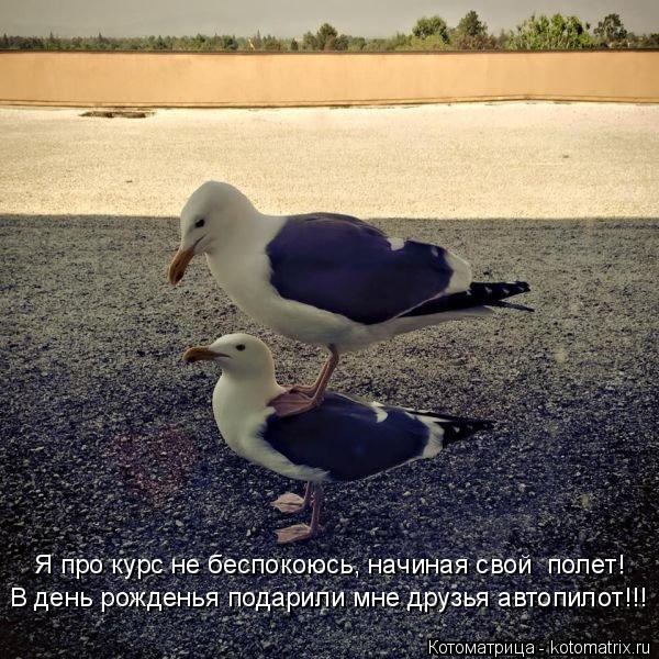 Котоматрица: В день рожденья подарили мне друзья автопилот!!! Я про курс не беспокоюсь, начиная свой  полет!