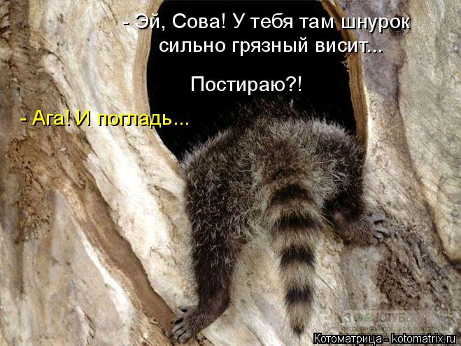 - Эй, Сова! У тебя там шнурок сильно грязный висит... Постираю?! - Ага! И погладь...... Котоматрица: - Эй, Сова! У тебя там шнурок сильно грязный висит... Постираю?! - Ага! И погладь...