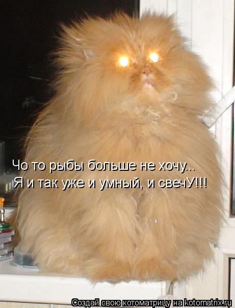 Котоматрица: Чо то рыбы больше не хочу... Я и так уже и умный, и свечУ!!!