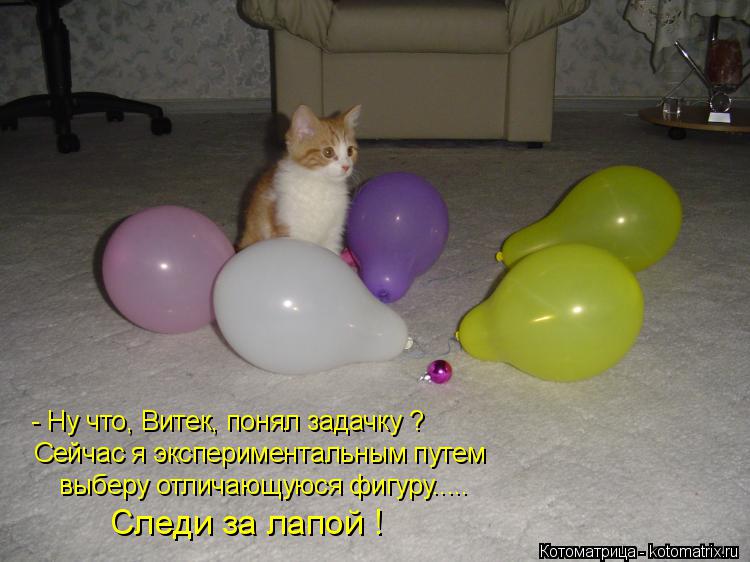 Котоматрица: - Ну что, Витек, понял задачку ? Сейчас я экспериментальным путем выберу отличающуюся фигуру..... Следи за лапой !