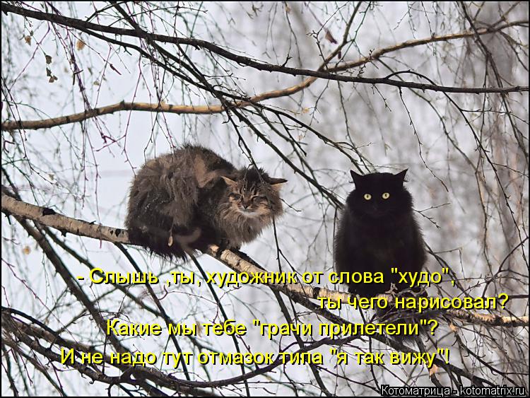 Котоматрица: - Слышь ,ты, художник от слова "худо", ты чего нарисовал?  Какие мы тебе "грачи прилетели"? И не надо тут отмазок типа "я так вижу"!