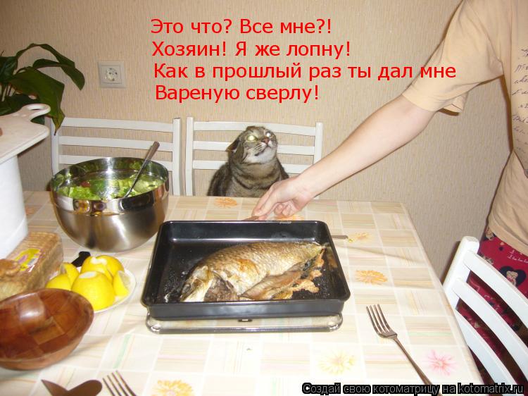 Котоматрица: Это что? Все мне?! Хозяин! Я же лопну! Как в прошлый раз ты дал мне Вареную сверлу! Вареную сверлу!