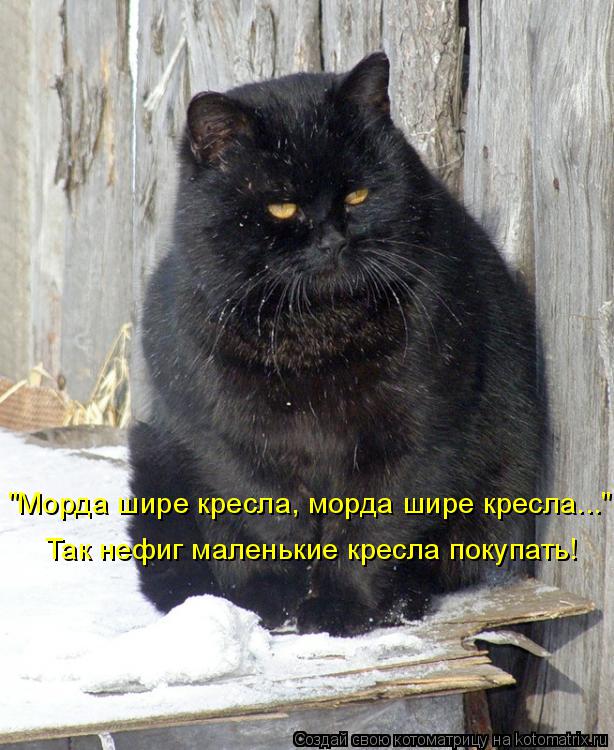 "Морда шире кресла, морда шире кресла...". Так нефиг маленькие кресла покупать!... Котоматрица: "Морда шире кресла, морда шире кресла...". Так нефиг маленькие кресла покупать!