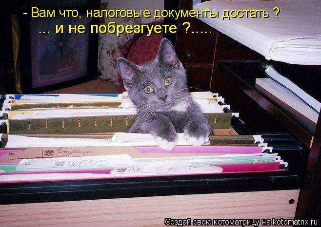 - Вам что, налоговые документы достать ? ... и не побрезгуете ?........ Котоматрица: - Вам что, налоговые документы достать ? ... и не побрезгуете ?.....